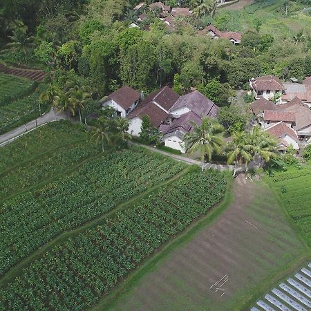 Griya Harja Homestay Magelang Exterior photo
